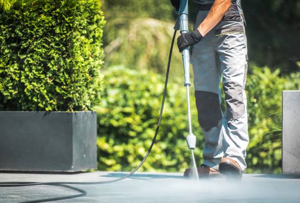 Best Patio and Deck Pressure Washing  in Dayton, NJ